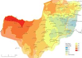 Image result for Ptycholobium plicatum
