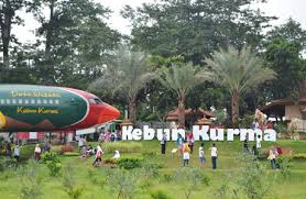 We did not find results for: Tiket Masuk Kebun Kurma Pasuruan Wisata Unik Ala Timur Tengah Penginapan Net 2021