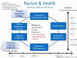 Emerging Paradigms Of Diversity In The Health Professions Ppt Download