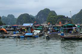 Check spelling or type a new query. Top 10 A La Baie D Halong Les Incontournables A Faire Et A Voir