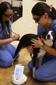 Image result for Local Cold Therapy