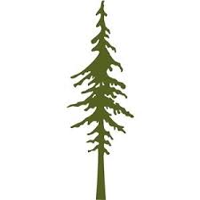 Nicepng also collects a large amount of related image material, such as pine tree ,pine tree clip art ,christmas tree vector. Silhouette Design Store Search Designs Tree Redwood Tree Tree Stencil Silhouette Design
