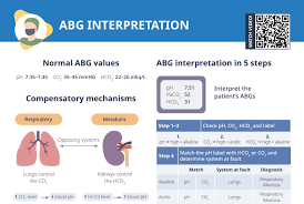 Image result for ABG Interpretation