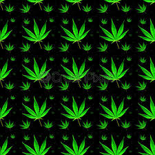 Weed leaf logo isolated on white background for your web, mobile. Marijuana Leaves Seamless Background Stock Photo Crushpixel