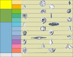 Paleontology Wikipedia