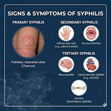Image result for Primary Syphilis