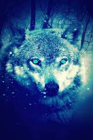 Check spelling or type a new query. Phoneky Galaxy Blue Wolf Hd Ø®Ù„ÙÙŠØ§Øª
