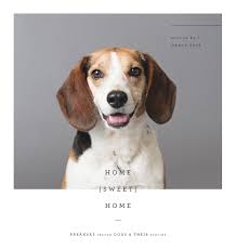 Home Sweet Home Arkansas Rescue Dogs Their Stories Vest Grace Bower Whitney 9781944528027 Amazon Com Books