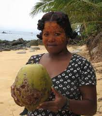 In 1833, four people died from falling coconuts on the island of sri lanka. Deep History Of Coconuts Decoded The Source Washington University In St Louis