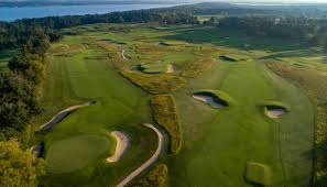 Image result for Lawsonia