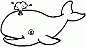 Home » beluga whale coloring page. 20 Free Printable Whale Coloring Pages Everfreecoloring Com