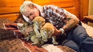 The above quote is joe exotic's attempt at telling children to stay away from drugs because they are bad for you, of course, joe decides to emphasize the risk of losing teeth and friends over any serious health conditions that may arise or the possibility of overdoses. Here Are The Absolute Best Joe Exotic Quotes From Tiger King Film Daily