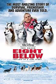 Hindi dubbed movies download, 720p 480p south indian hindi dubbed movies download, hollywood bollywood hollywood hindi 720p movies download, brrip 720p movies download 700mb 720p webhd with google drive (gdrive links). Eight Below Moviepooper