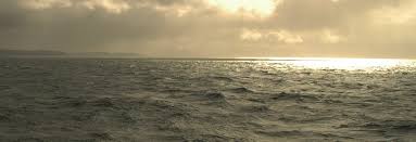 INFLUENCE OF ECOSYSTEM CHANGES ON HARVESTABLE RESOURCES AT HIGH LATITUDES  Proceedings of the 18th Russian-Norwegian Symposium Mu