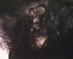 Taliesin meets the vampires: Vamp or Not? The She Beast