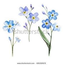 Blumen haben ihre eigene sprache. Forget Me Nots Are The Alaska State Flower Blumenzeichnung Tattoo Vergissmeinnicht Blumen Tattoo
