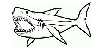 Here you can download all the coloring pages and print them for free. Shark Coloring Pages Free Printable Coloring Pages For Kids