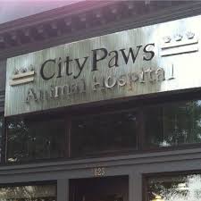Find washington, district of columbia animal hospitals. Best Veterinarians Washington Dc Best4pets