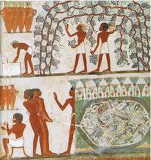 Ancient Egyptian Agriculture Farming Diet Animals Crystalinks Ancient Egyptian Art Ancient Egypt Egyptian Drawings