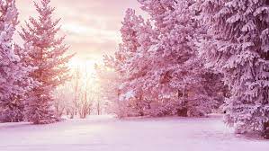 Τα πάντα έχουν καλυφθεί από χιόνι. Oi Alpeis Alla3an Xrwma To Para3eno Fainomeno Roz Xioni Problhmatizei Toys Eidikoys