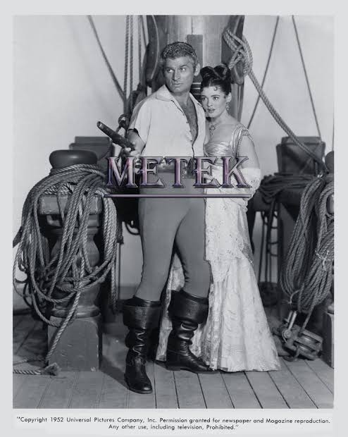 Yankee Buccaneer