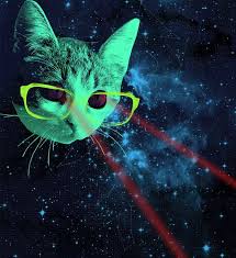 Mister Mittens Big Adventure Space Cat Cat Art Galaxy Cat