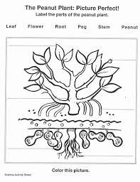 We did not find results for: Pin By Tennessee Foundation For Agric On Peanuts In 2020 George Washington Carver George Washington Carver Printables Black History Activities