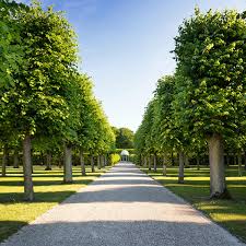 Genieße leckeres essen, schnell geliefert! Grosser Garten In Hannover Green Hannover Die Grunsten Ecken Der Stadt