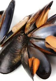 La Moule De Bouchot Championne Des Coquillages Moules Moules Bouchot Pate Tagliatelle