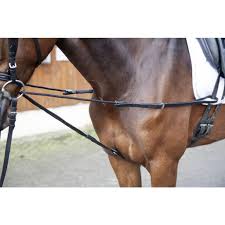 Maybe you would like to learn more about one of these? Dreieck Laufferzugel Campingreitsporthomps Jimdo Page