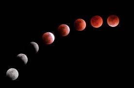 Whilst super moons occur a few times a year, there have been just nine total lunar eclipses, making this event even more exciting. 7 Things You Need To Know About Next Week S Super Flower Blood Moon Eclipse The First Total Lunar Eclipse For Two Years