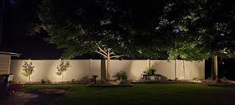 Tree Uplighting: Artful Illumination for Gardens