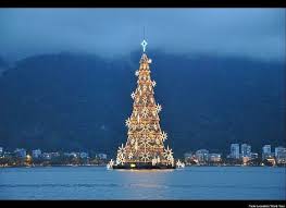 What is a flocked christmas tree? The 12 World S Most Beautiful Christmas Trees