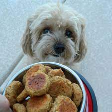 Smaller companies sell diabetic treats online, and pinterest has recipes for the adventurous pet owner. Diabetic Dog Treats Recipe Allrecipes
