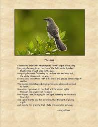 Mary Oliver Mary Oliver Poems Mary Oliver Beautiful Words