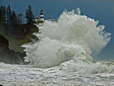 36 Best Washington State Beaches Images Washington State