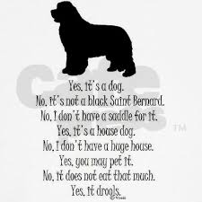 Womens Clothing Hoodie On Cafepress Com Newfoundland Dog Newfoundland Puppies Newfoundland