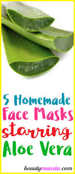 Always make sure to test a small amount of the oil on your skin to see if you aren't allergic, and enjoy! 5 Aloe Vera Face Mask Recipes For Pretty Skin Beautymunsta Free Natural Beauty Hacks And More
