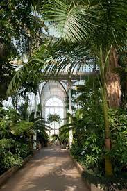 Kew Gardens On Twitter Kew Gardens Plant Aesthetic Plants