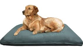Extra Large Memory Foam Dog Bed Pillow With Orthopedic Comfort Heavy Duty Waterproof Canvas Cover Orthopedic Dog Bed Dog Pillow Bed Best Orthopedic Dog Bed
