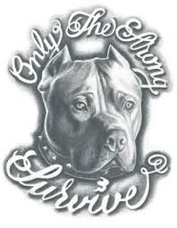 Black And White Pitbull Tattoos Russian Prison Set Tattooednow Ltd In 2020 Pitbull Tattoo Pitbull Art Pitbulls