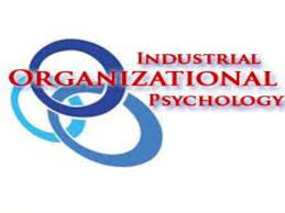 The application of psychological principles to the work place. Industrial Organizational Psychology Ppt
