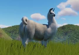 Llama Planet Zoo Wiki Fandom Zoo Grazing Animals Animal Categories