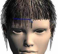 Even if the chic styles of influencer. Hair Cut Simulation Projects