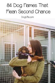 84 Beautiful Dog Names Meaning Second Chance Dogvills In 2020 Dog Names Beautiful Dog Names Beautiful Dogs