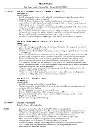 The first way this insurance account manager resume sample stands out is by beginning powerfully with a strong, persuasive professional summary. Insurance Account Executive Resume Samples Velvet Jobs