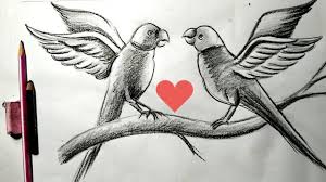 Pin By Kimberly Kellett On Drawing Stuff Bird Drawings Parrot Drawing Drawings