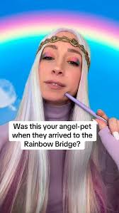 Say Goodbye to Seizures: Rainbow Bridge Angels Support Your Pet