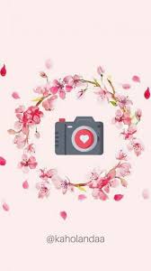 Best Quotes Flower Hibiscus 45 Ideas Instagram Highlight Icons Instagram Icons Instagram Logo
