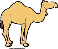 Camel hump vector clipart and illustrations (1,216). Hump Day Camel Clipart Kid Cliparting Com